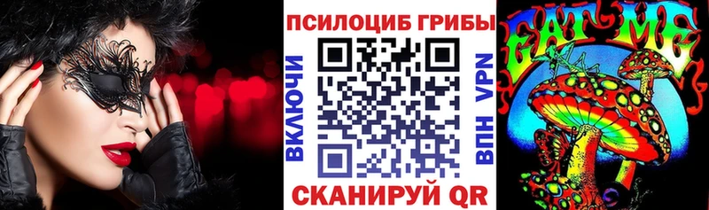 blacksprut вход  Черепаново  Псилоцибиновые грибы Psilocybe 